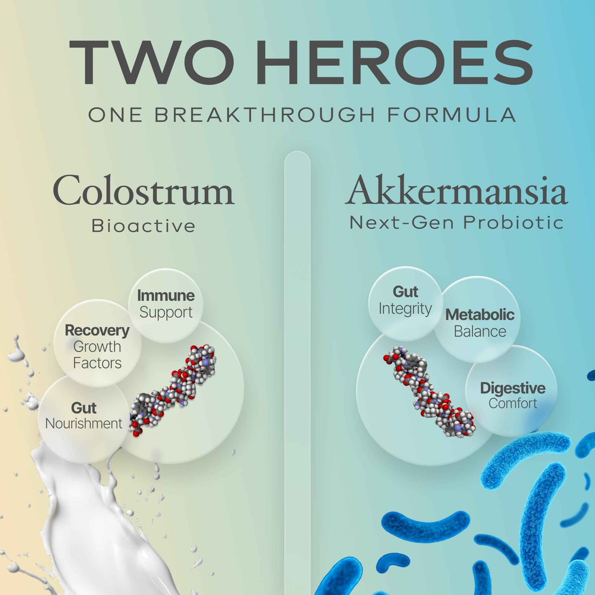 Prime Powders Colostrum Capsules | Grass-Fed Bovine Colostrum with Akkermansia Probiotic 1B AFU | Microbiome & Gut Support
