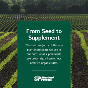 Standard Process Inc. Congaplex - Thymus Gland Support Supplement - Immune Health with Calcium Lactate, Magnesium, Vitamin C & Vitamin A - Immune System Aid with Mushroom Powder - 150 Capsules Standard Process Inc.Buy Supplements Australia