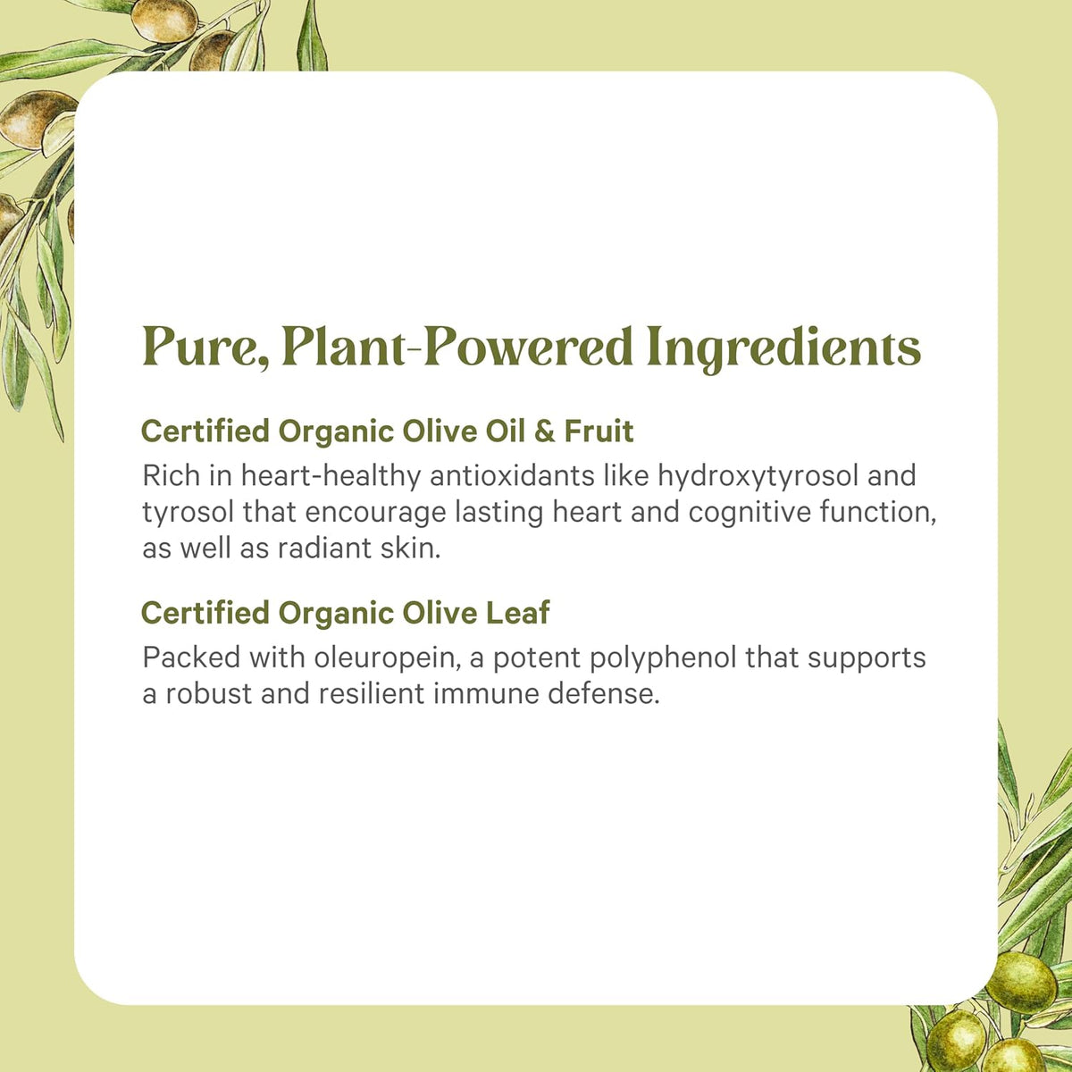 PURE SYNERGY SuperPure Olive Extract | Organic Olive Leaf, Oil, and Fruit Supplement with Polyphenols | for Heart, Brain, and Immune Health (60 Capsules)
