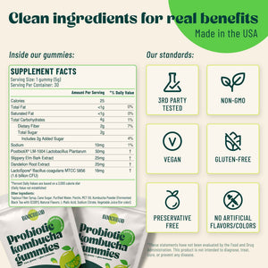 BoochBod - Probiotic Kombucha Gummy - Prebiotics, Probiotics, Postbiotics, Fiber Supplement, Slippery Elm, Dandelion Root, for Bloating, Gut Health
