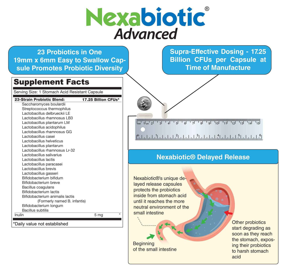 DrFormulas' Best Probiotics for Women & Men | Nexabiotic Multi Probiotic with Saccharomyces Boulardii, Lactobacillus Acidophilus, B. infantis, Prebiotic 60 Count Capsules (Not Pearls)
