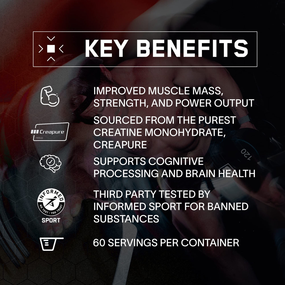 BARE PERFORMANCE NUTRITION, BPN Pure Creatine Monohydrate Powder by Creapure, 5g of Creatine per Serving, Supports Muscle Growth, Unflavored Creatine Powder, 60 Servings | 5g of Creatine per Serving, Supports Muscle Growth for Increased Strength, Power an