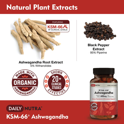 DailyNutra KSM-66 Ashwagandha 600mg Organic Root Extract - High Potency Supplement with 5% Withanolides | Relieves Tiredness, Supports Relaxation, Focus, Energy, & Muscle Growth (90 Capsules)