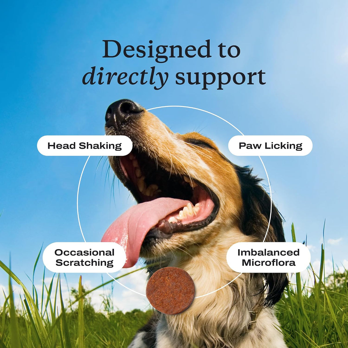 PetLab Co. – Seasonal Allergy Support & Dental Care in One Routine - Allergy & Immune Chews + ProBright Dental Powder for Total Wellness Inside & Out - Small Dogs