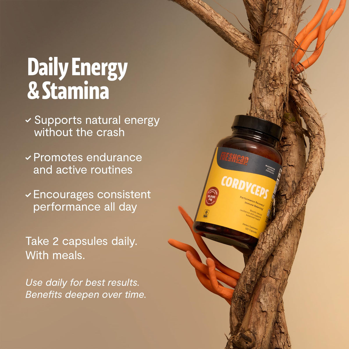 FreshCap Mushrooms Premium Organic Lions Mane Capsules - 14:1 Fruiting Body Extract with 31% Beta-Glucans - 3rd-Party Tested Nootropic for Clarity, Focus & Cognitive Support (120 Capsules)