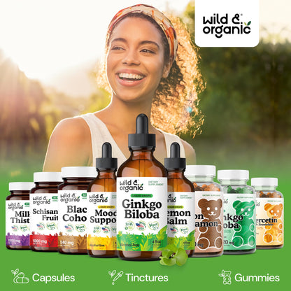 Wild & Organic Ginkgo Biloba Extract Drops - Brain & Focus Support - Liquid Ginkgo Biloba Supplements - Vegan, Sugar & Alcohol-Free Herbal Tincture - 4 fl oz