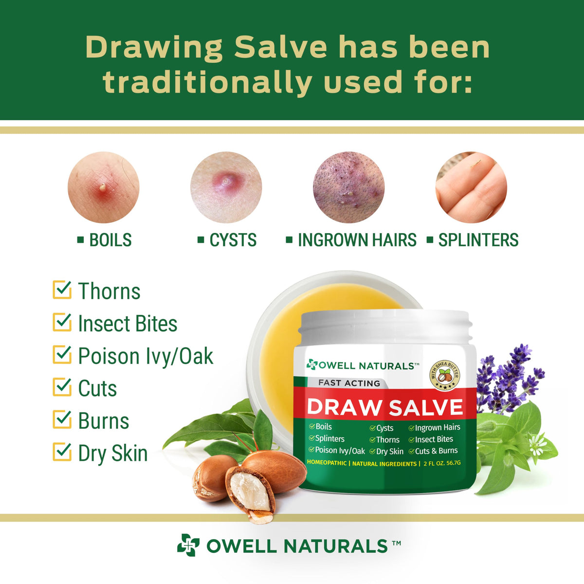 Owell Naturals Drawing Salve Ointment with Pure Shea Butter, for ingrown Hair, Boil, Splinter Remover, Bug Spider Bites, Bee Sting, Mosquito Itch, Poison Ivy, Burns & Cuts,1 Fl Oz (Pack of 1)