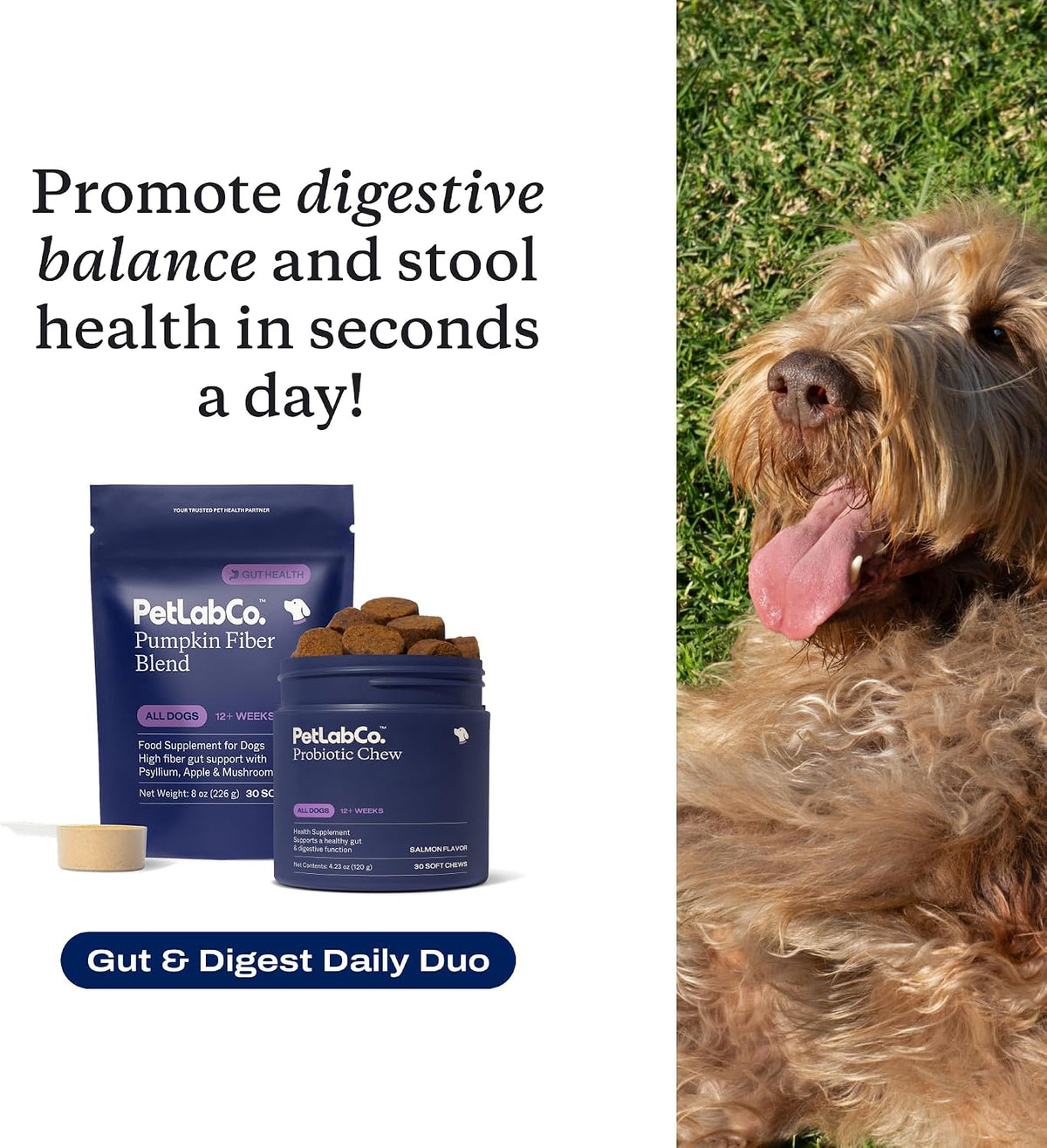 PetLab Co. – Gut & Digest Daily Duo: Pumpkin Powder Blend for Easy Digestion & Firm Stools for Small/Medium/Large Dogs & Salmon‑Flavoured Probiotic Chews to Support Gut & Immune Balance – Easy to Use