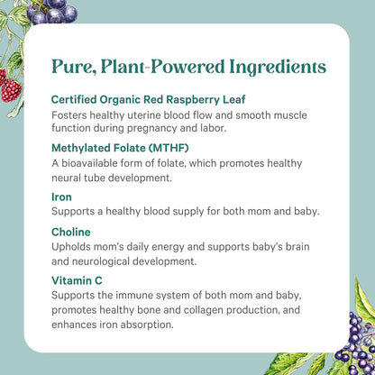 PURE SYNERGY PureNatal Prenatal Vitamins | Vegan Supplement Made with Organic Whole Foods | with Natural Iron, Folate, and Choline | for Pre-Conception, Pregnancy and Breastfeeding (120 Tablets)