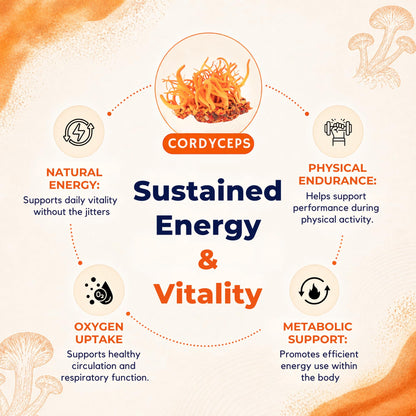 8-Mushroom Extract Powder by Malama, Organic Body Mushroom Blend Featuring Lion's Mane, Reishi, Cordyceps, Chaga, Turkey Tail, Superfood Adaptogenic