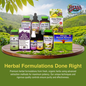 Herbs Etc. Lung Tonic - Lung Supplement for Bronchial Support - Healthy Breathing Support with Mullein, Horehound & Grindelia - 120 Softgels Herbs Etc.Buy Supplements Australia